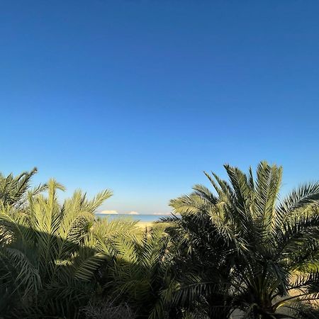 The Nest Siwa Oasis Exterior foto