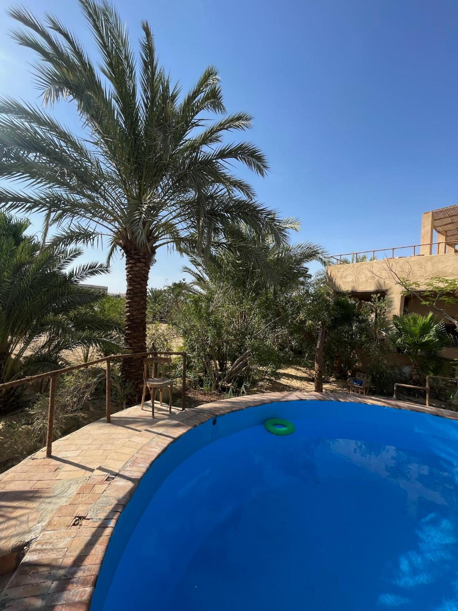 The Nest Siwa Oasis Exterior foto