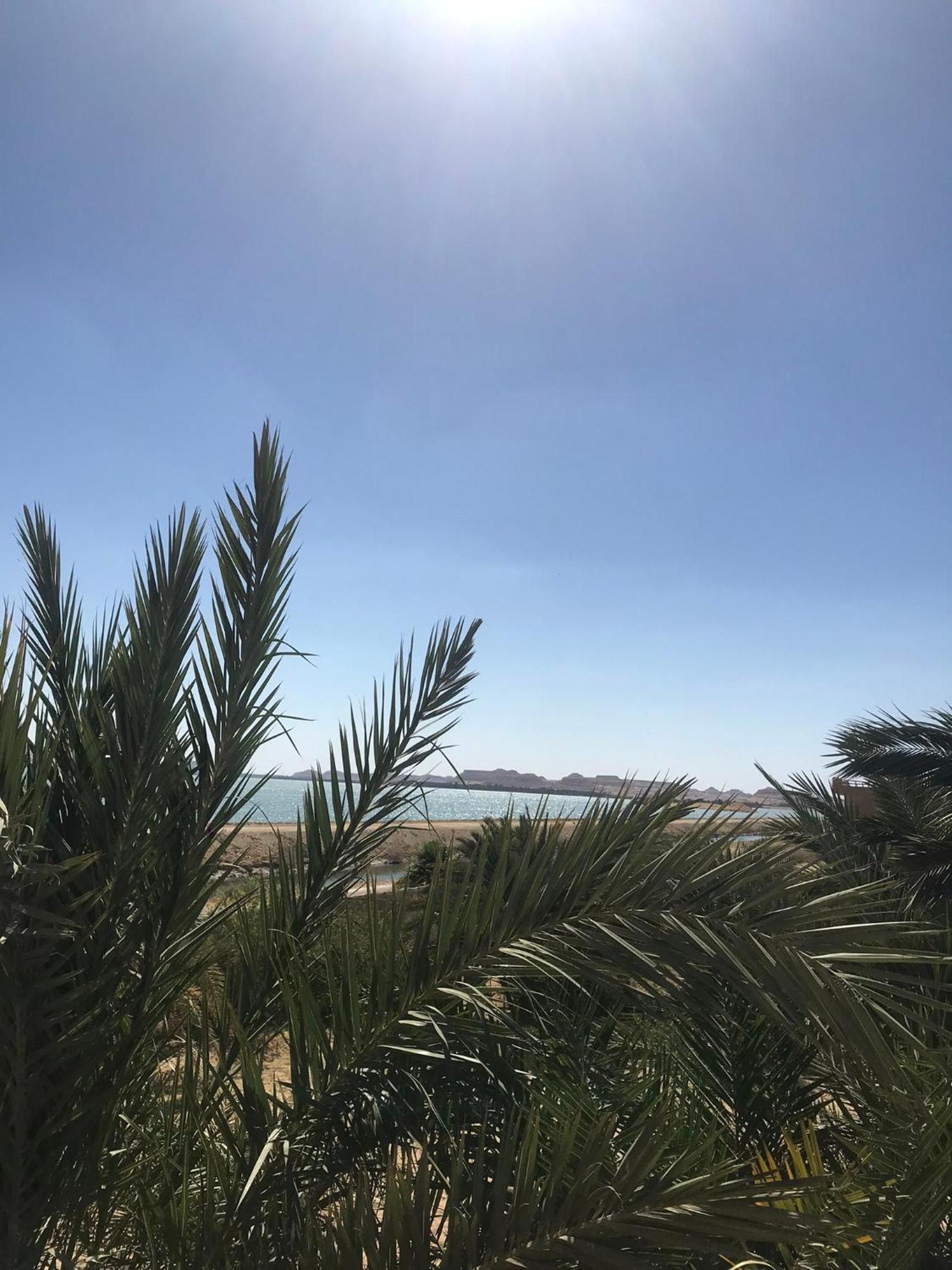 The Nest Siwa Oasis Exterior foto