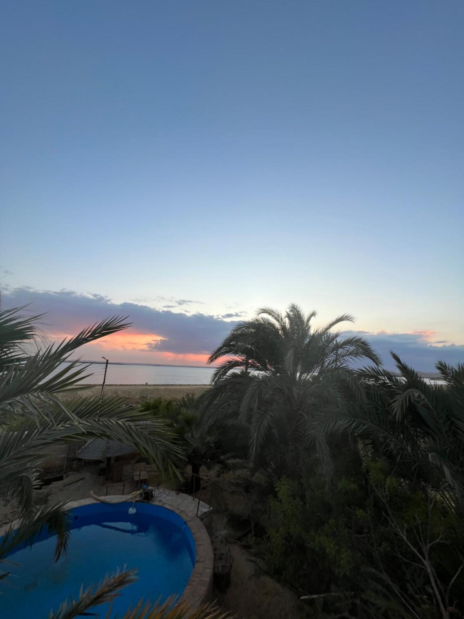 The Nest Siwa Oasis Exterior foto