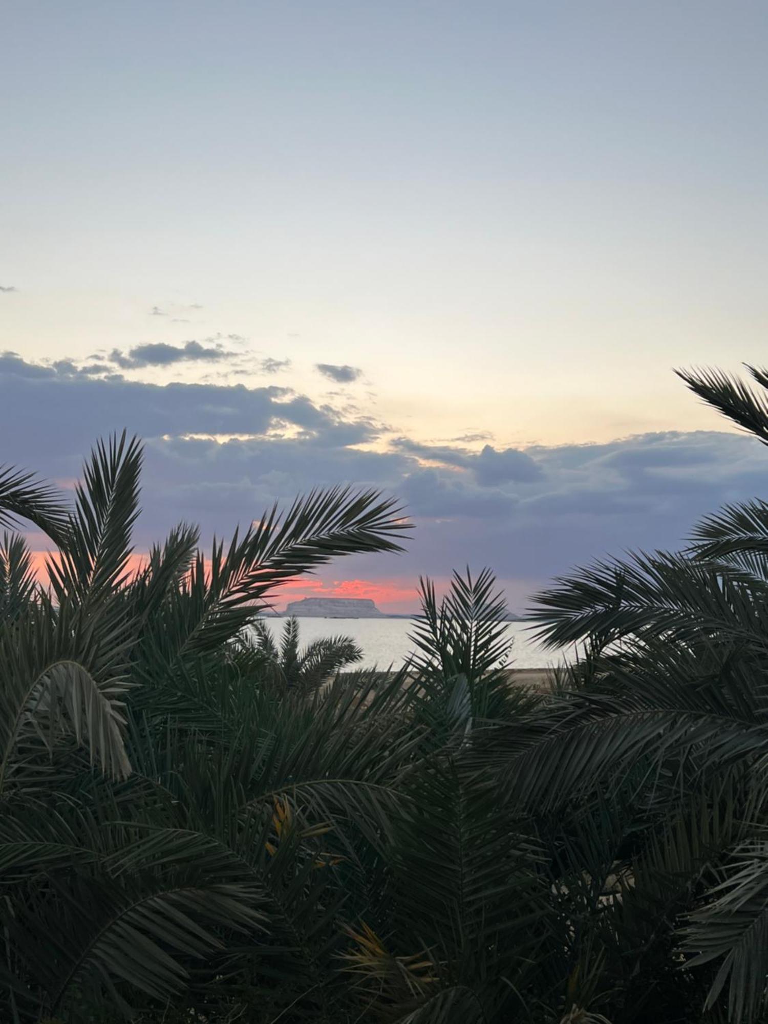 The Nest Siwa Oasis Exterior foto