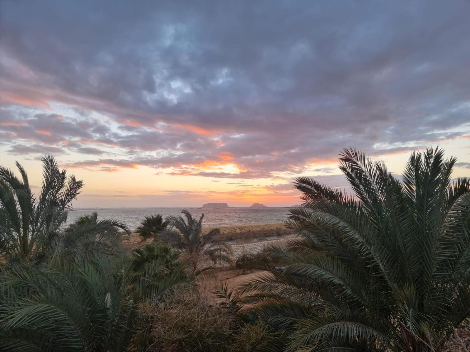 The Nest Siwa Oasis Exterior foto