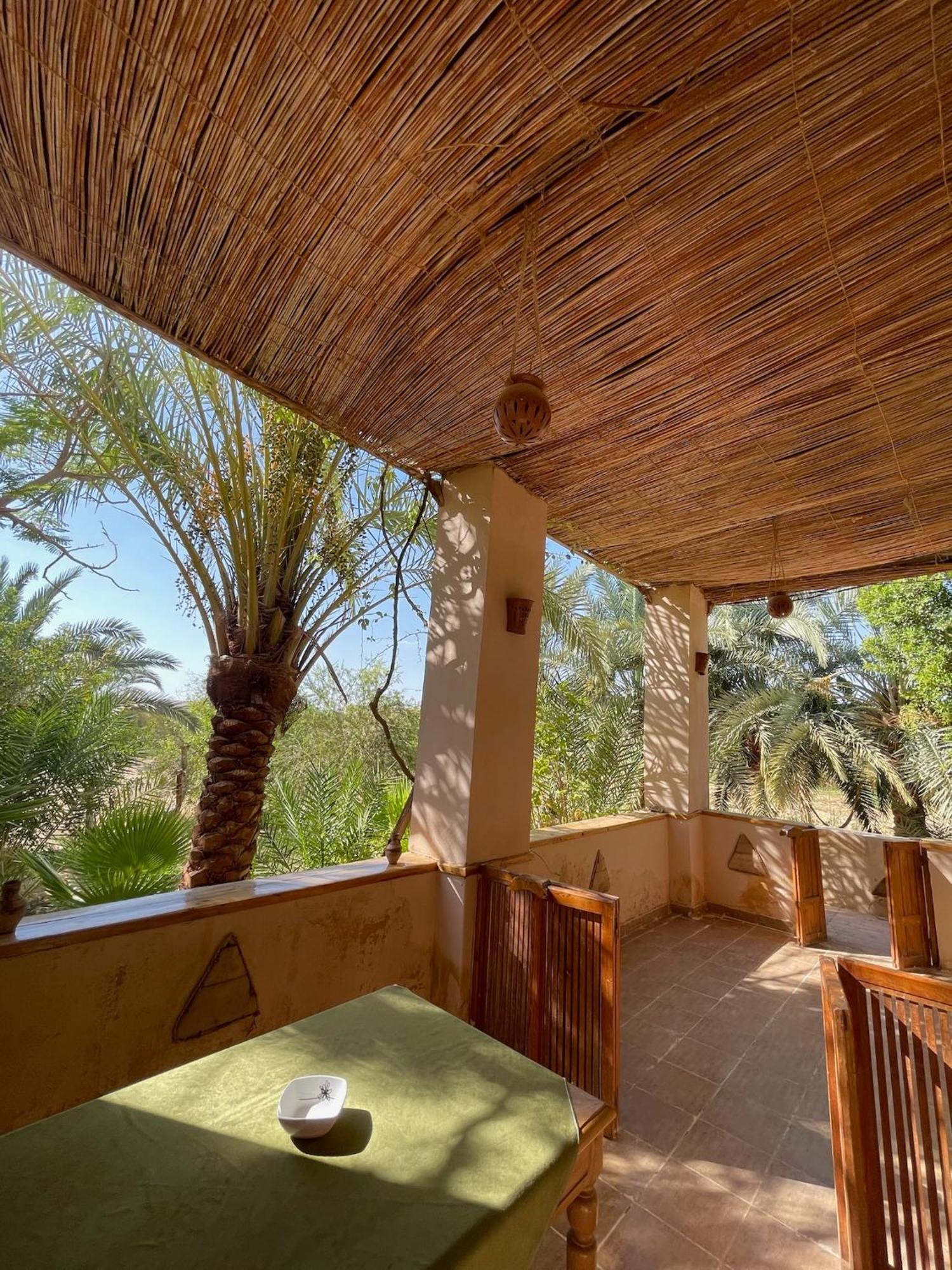 The Nest Siwa Oasis Exterior foto