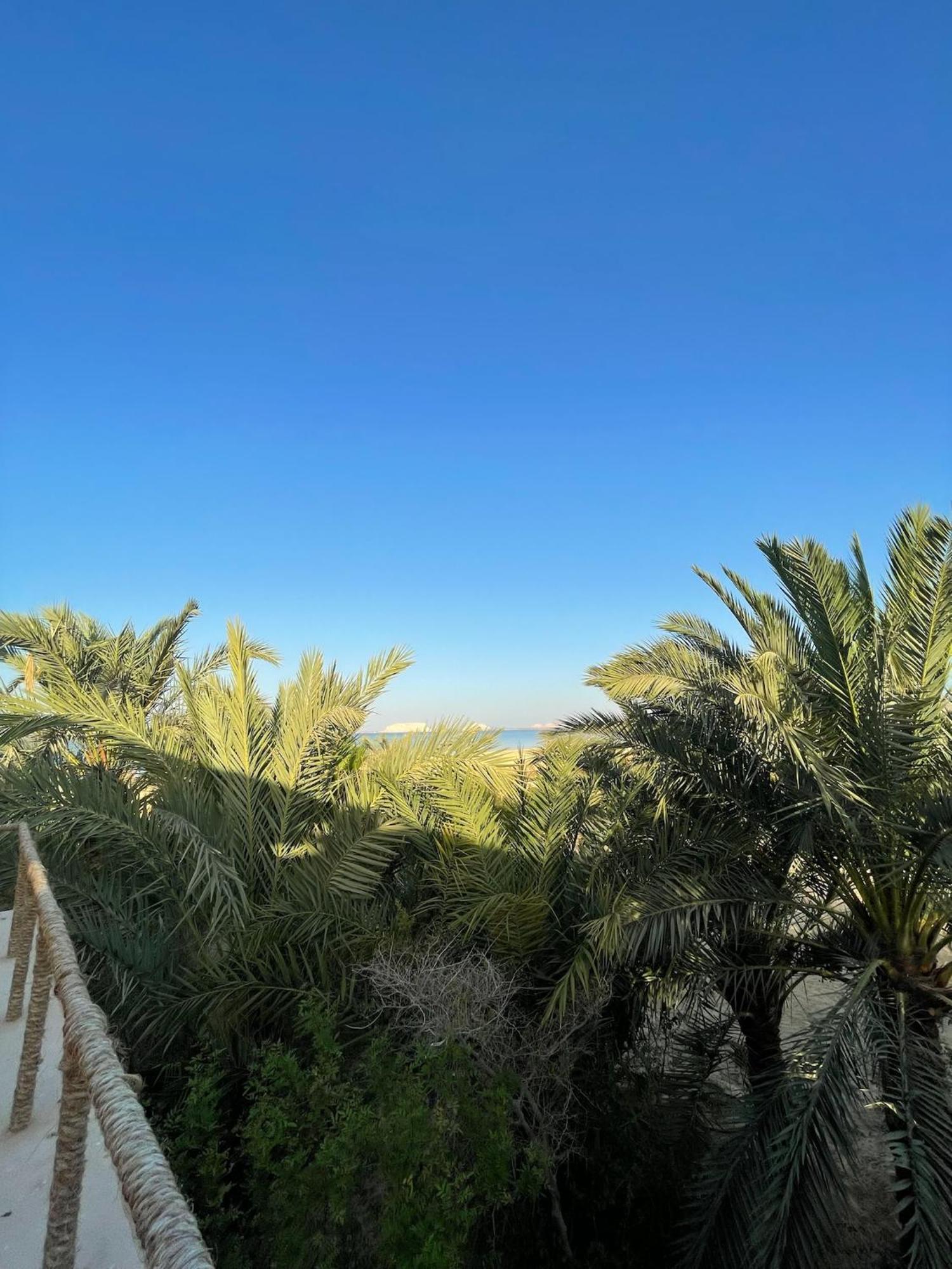 The Nest Siwa Oasis Exterior foto