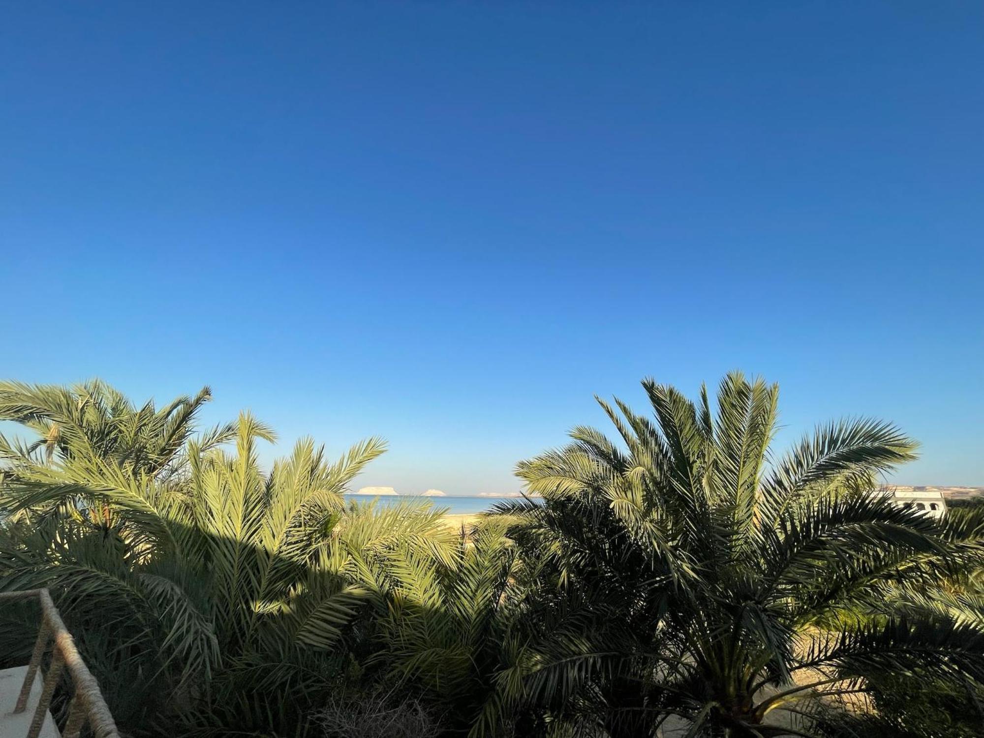 The Nest Siwa Oasis Exterior foto