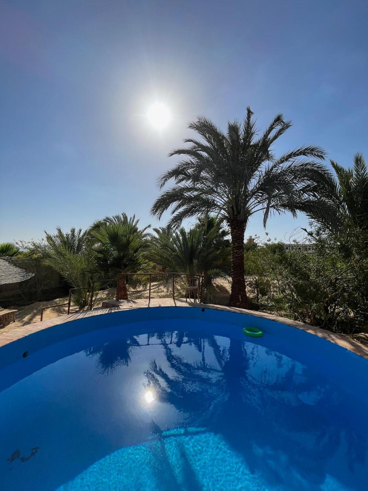 The Nest Siwa Oasis Exterior foto