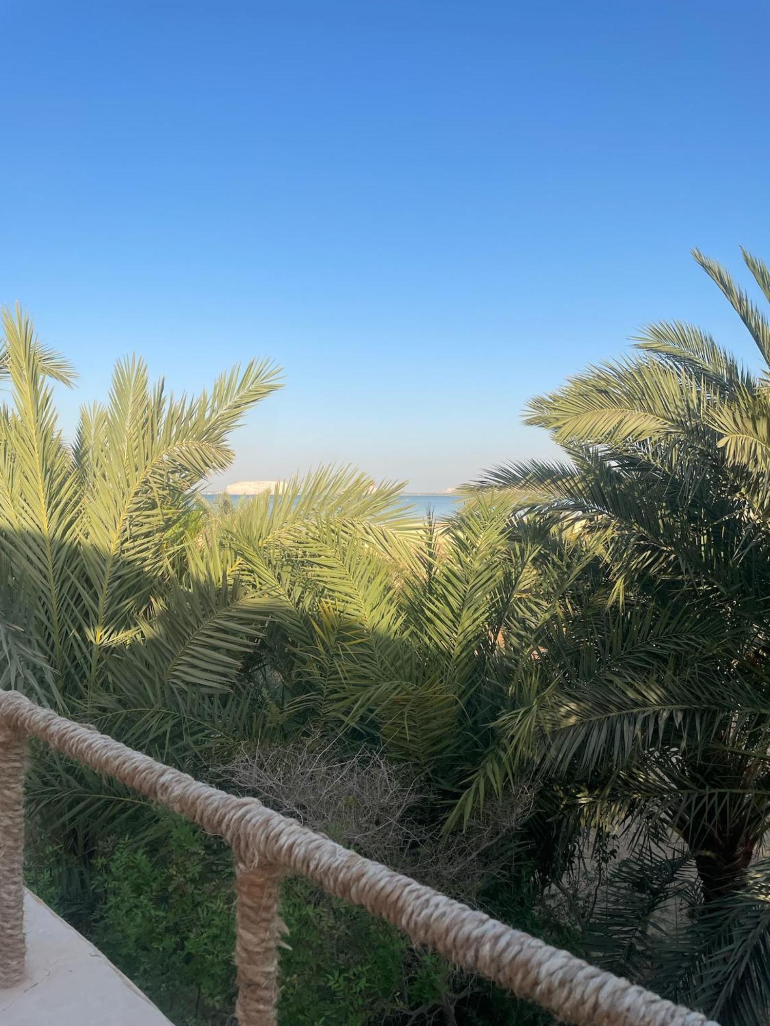 The Nest Siwa Oasis Exterior foto