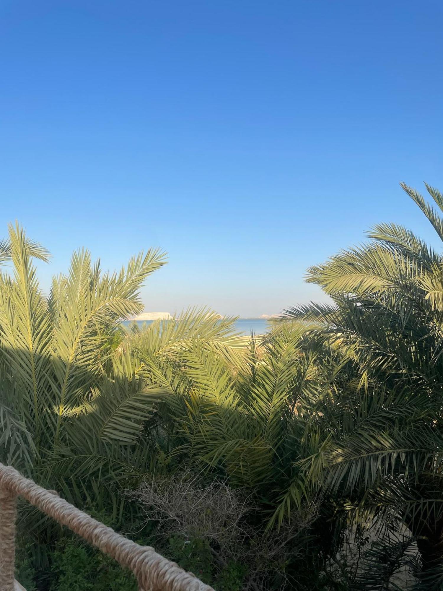The Nest Siwa Oasis Exterior foto